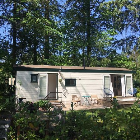 Sfeervol Vakantiehuisje In Bosrijke Omgeving 보르덴 외부 사진