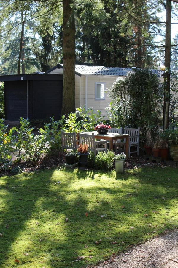 Sfeervol Vakantiehuisje In Bosrijke Omgeving 보르덴 외부 사진