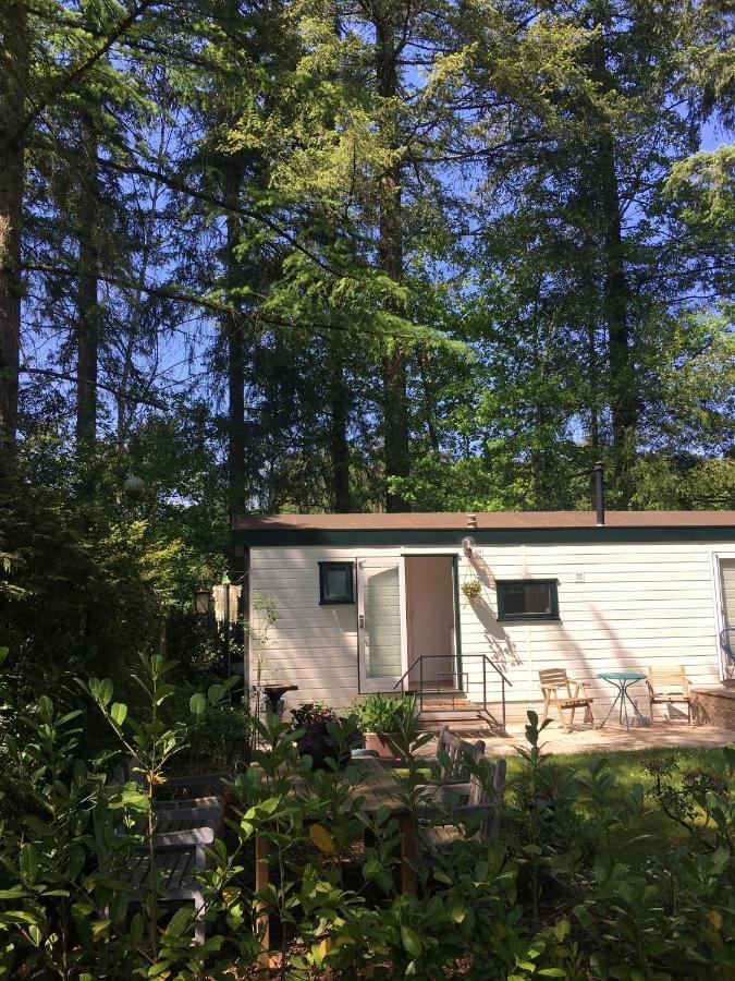 Sfeervol Vakantiehuisje In Bosrijke Omgeving 보르덴 외부 사진