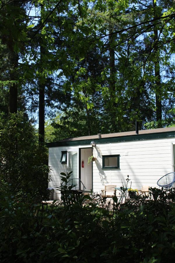 Sfeervol Vakantiehuisje In Bosrijke Omgeving 보르덴 외부 사진