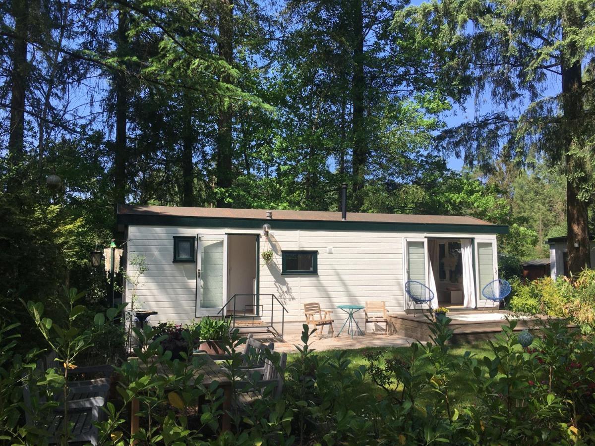 Sfeervol Vakantiehuisje In Bosrijke Omgeving 보르덴 외부 사진