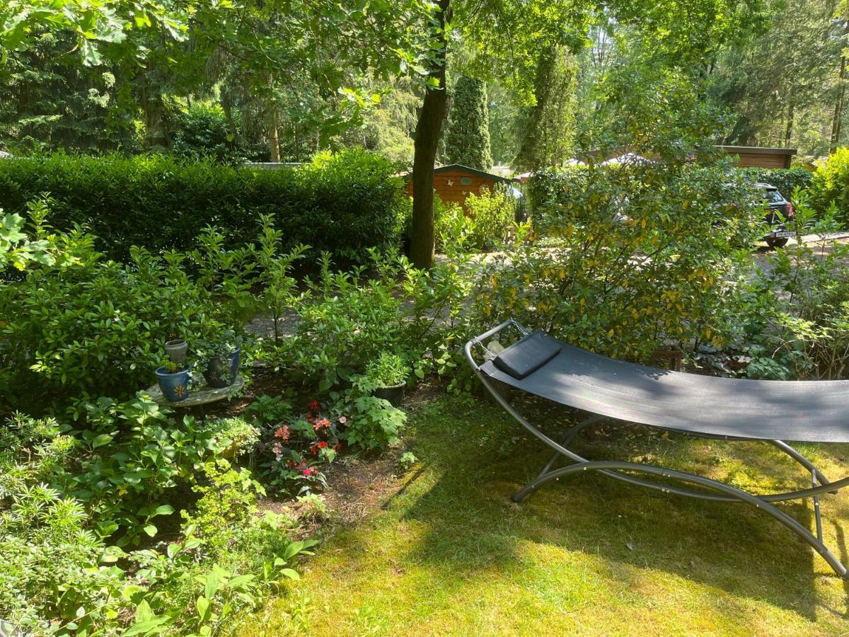 Sfeervol Vakantiehuisje In Bosrijke Omgeving 보르덴 외부 사진